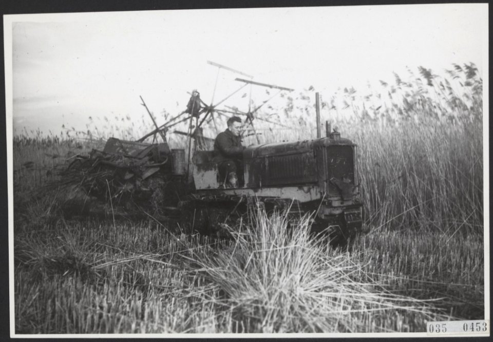 Landbouw, machines, riet, oogsten, Bestanddeelnr 035-0453
