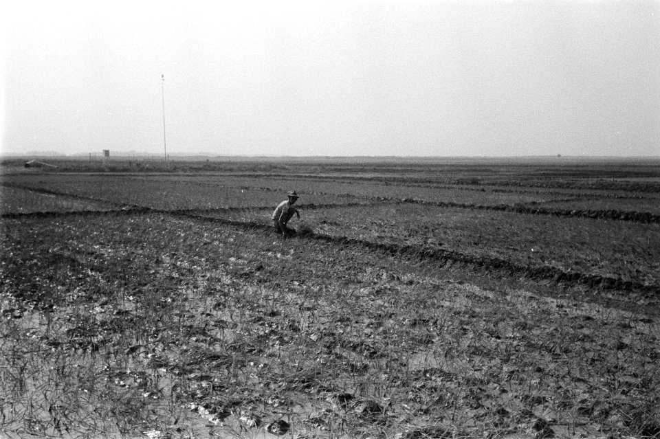 Landbouw, arbeiders, Bestanddeelnr 251-3517