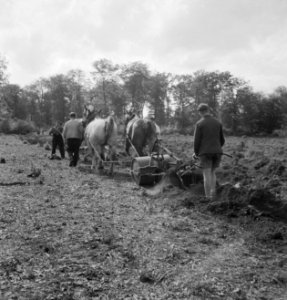 Landbouwmachines, werktuigen, arbeiders, dieren, paarden, Bestanddeelnr 251-7182