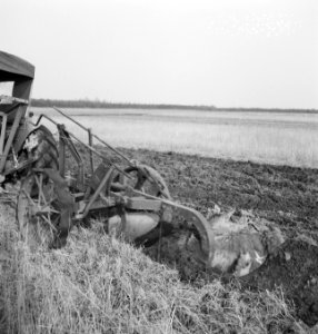 Landbouwmachines, werktuigen, arbeiders, grondbewerking, ploegen, Tractors, Bestanddeelnr 253-4314