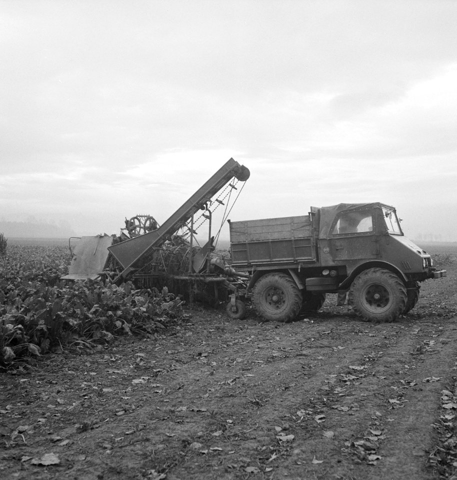 Landbouw, arbeiders, gewassen, vrachtwagens, machines, Bestanddeelnr 251-9015