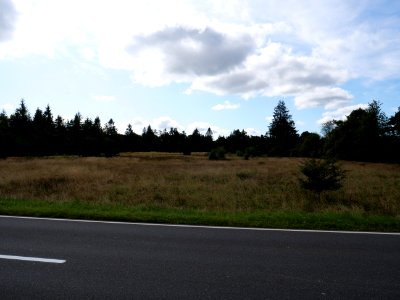Lammersdorfer Venn 01