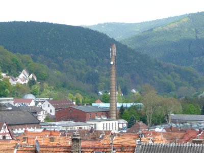 Lambrecht (Pfalz) 11