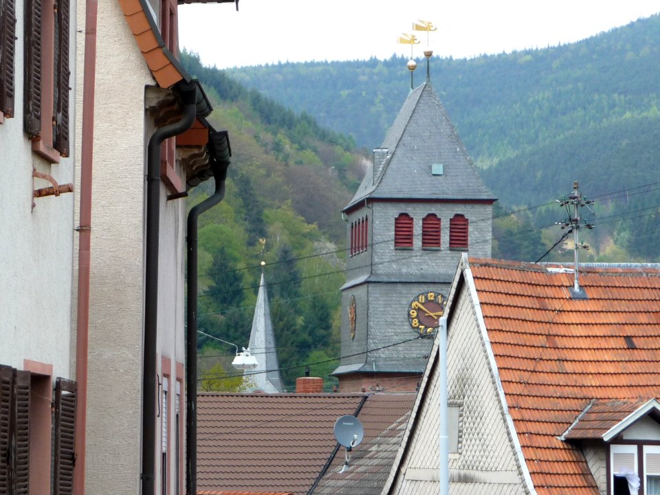 Lambrecht (Pfalz) 08