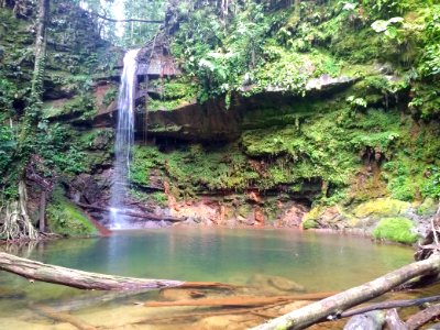Lambir Hills National Park - Pantu Waterfall
