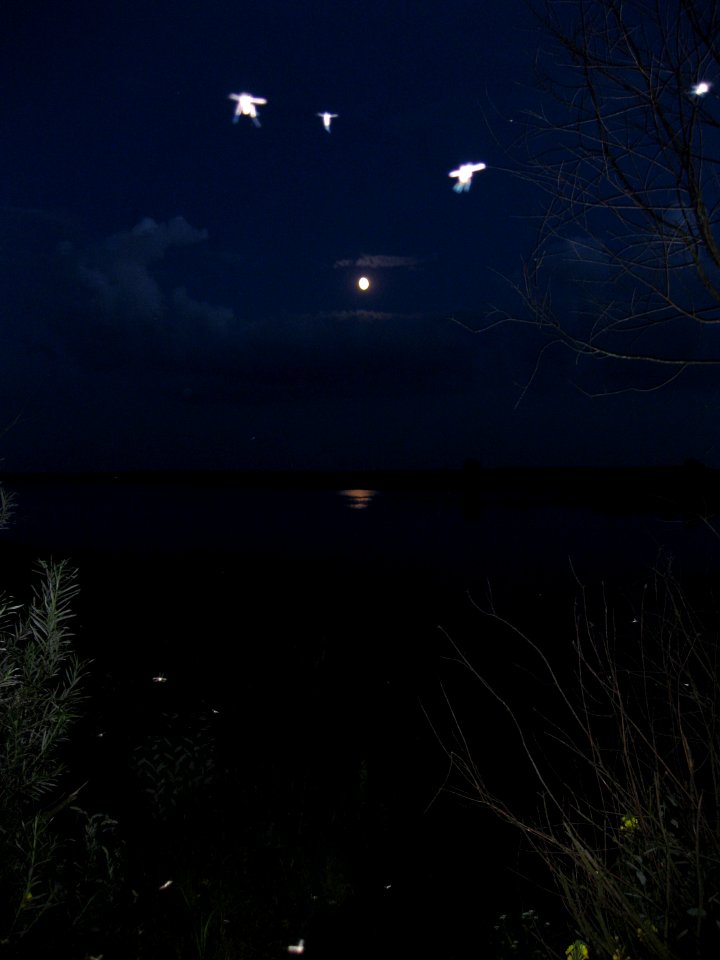 Laktyshy lake Belarus 2009 AD night komary
