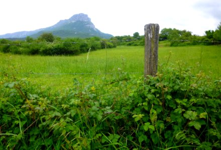 Lakuntza - Economía agropecuaria 3