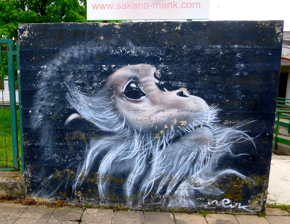 Lakuntza - graffiti 11
