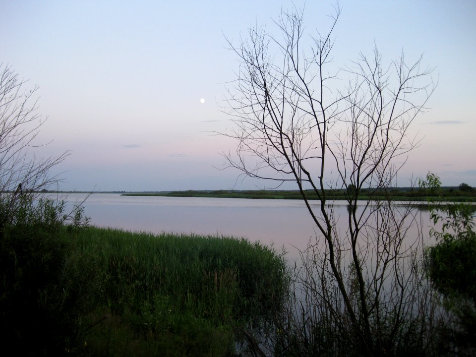 Laktyshy lake Belarus 2009 AD day 1
