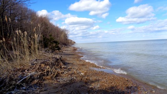 Lakeport State Park (March 2019) photo