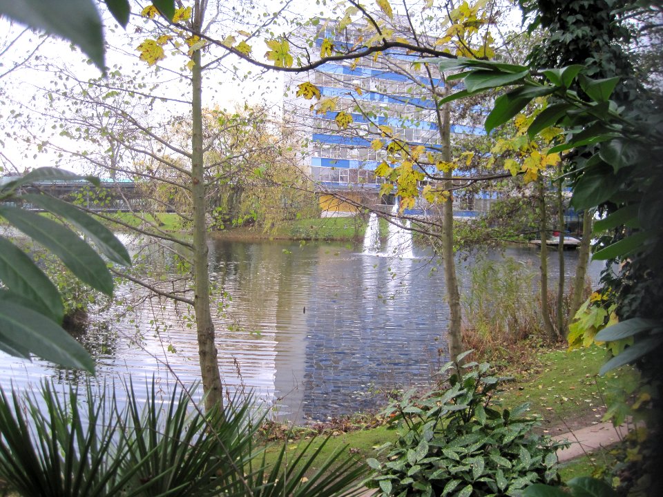 Lakeside Nature Reserve