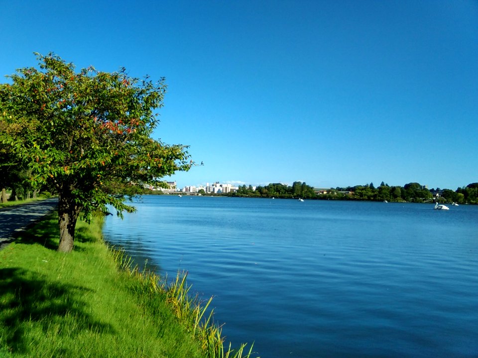Lake-Senba-CloseView-2017091801