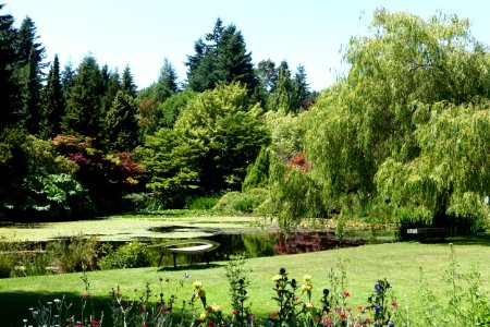 Lake view - VanDusen Botanical Garden - Vancouver, BC - DSC07387