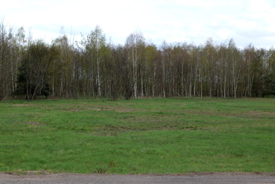 Lakomaer Teiche 2021-04-24 17