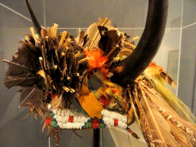 Lakota dance headdress, collected in 1897 - Native American collection - Peabody Museum, Harvard University - DSC05409