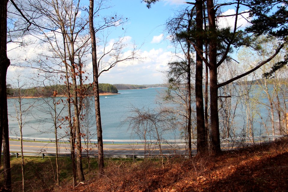 Lake Lanier, March 2017 1