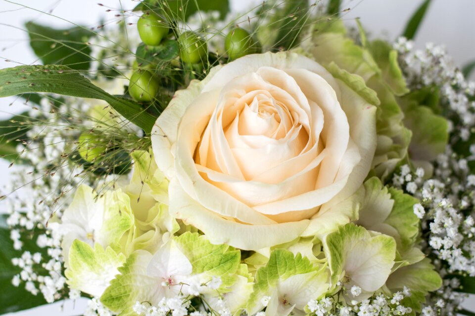 Birthday bouquet white wedding