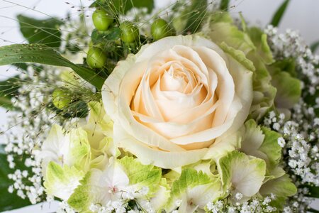 Birthday bouquet white wedding photo