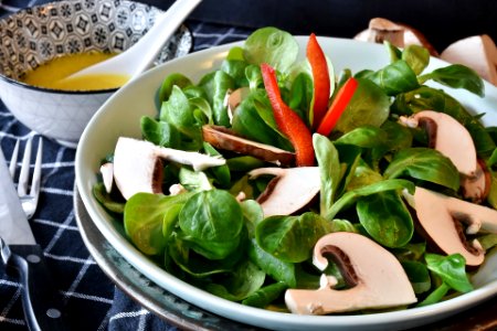 Lambs Lettuce (249191525) photo