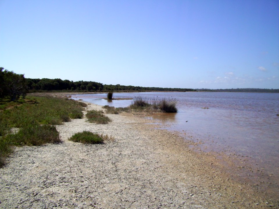 Lake Preston north of Mitchell Road 5 (E37@WTW2013)