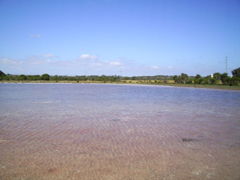 Lake Preston north of Mitchell Road 6 (E37@WTW2013)