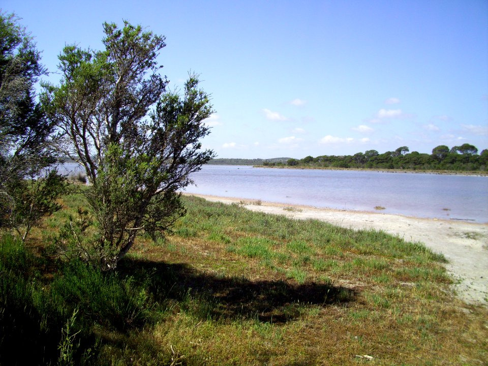 Lake Preston north of Mitchell Road 2 (E37@WTW2013)