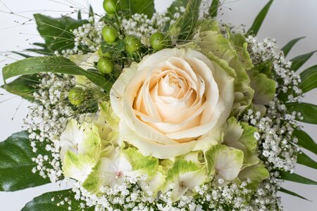 Birthday bouquet white wedding photo