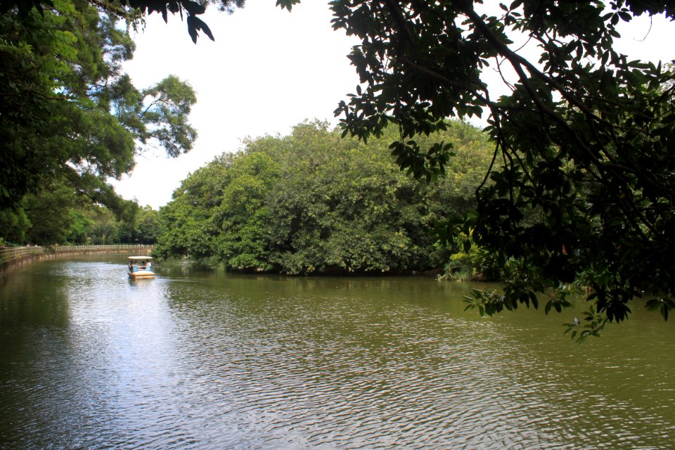 Lake of East Lake Park3