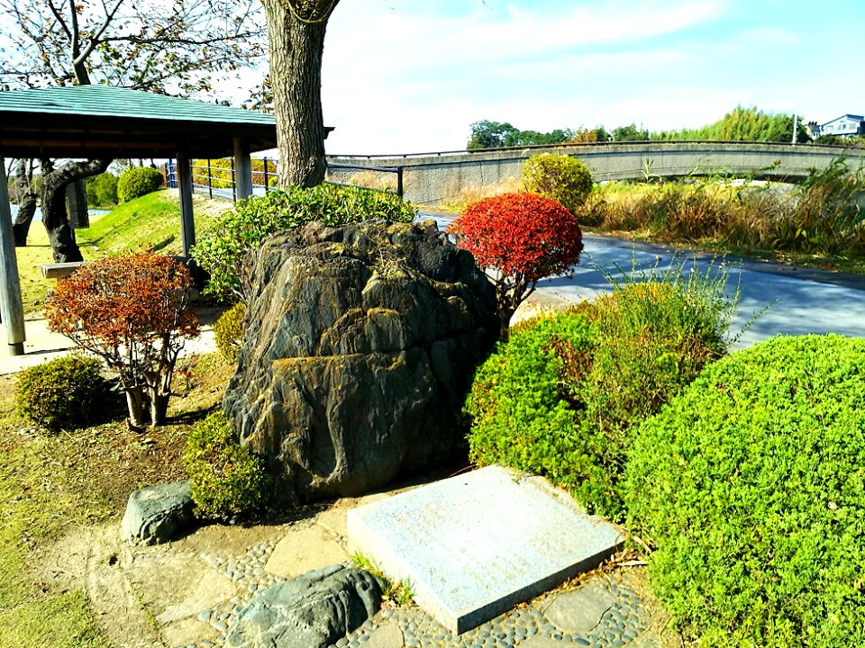 Lake Senba Phot 2019-2020 (5)