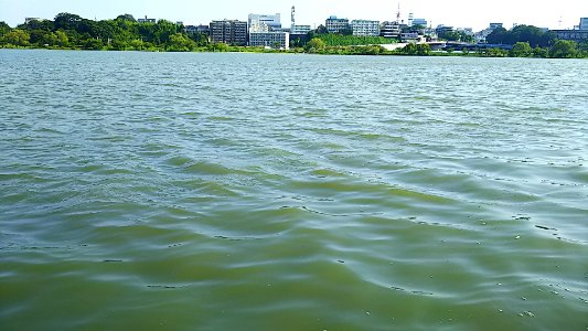 Lake senba mito ibaraki 201908