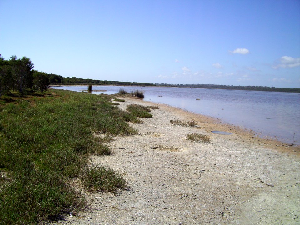 Lake Preston north of Mitchell Road 4 (E37@WTW2013)