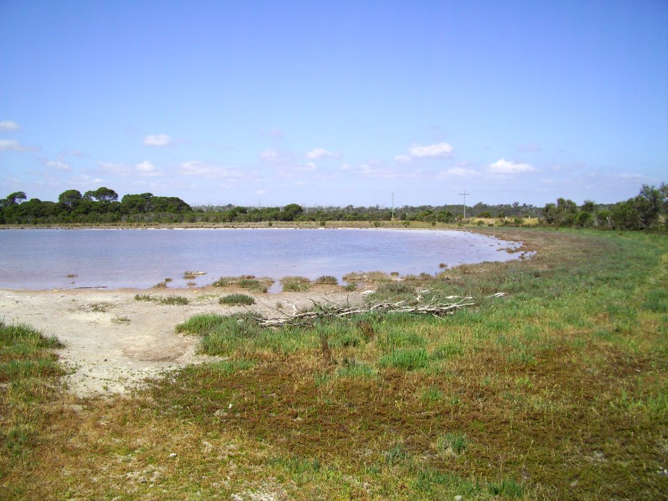 Lake Preston north of Mitchell Road 3 (E37@WTW2013)