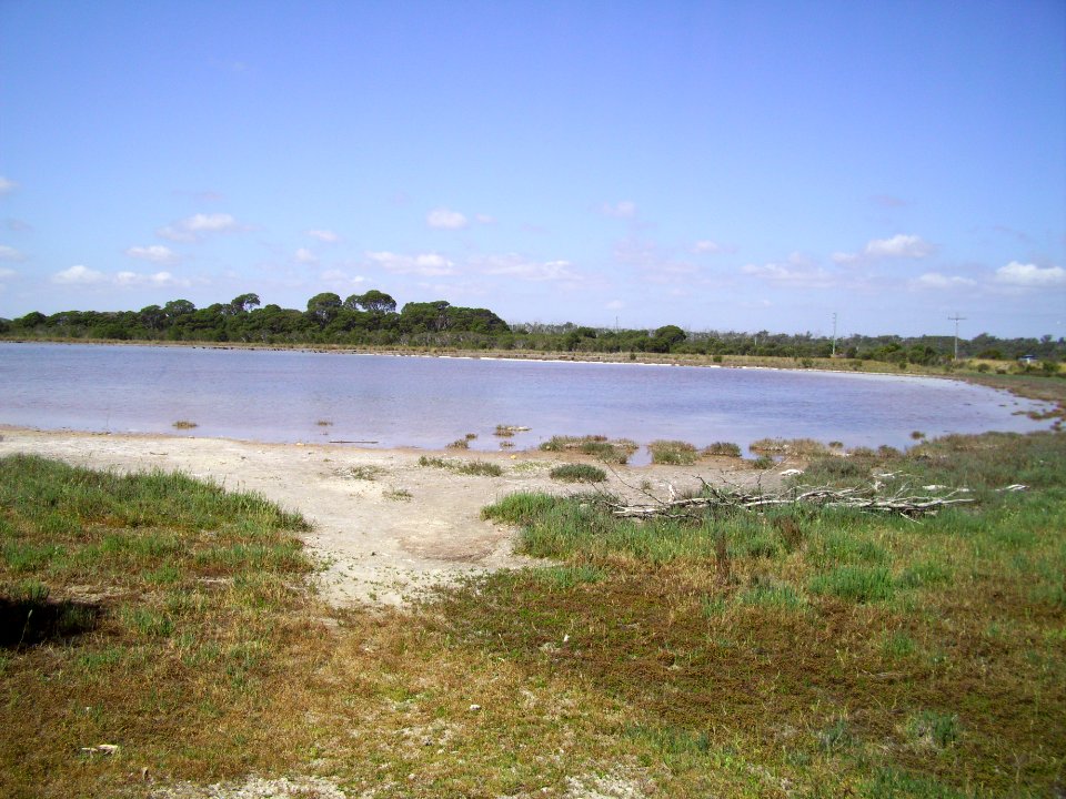 Lake Preston north of Mitchell Road 1 (E37@WTW2013)