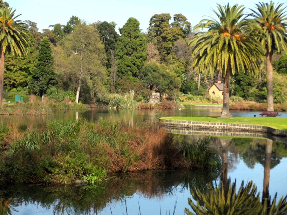 Lake in Melbourne Botanic Gardens 20180726-016