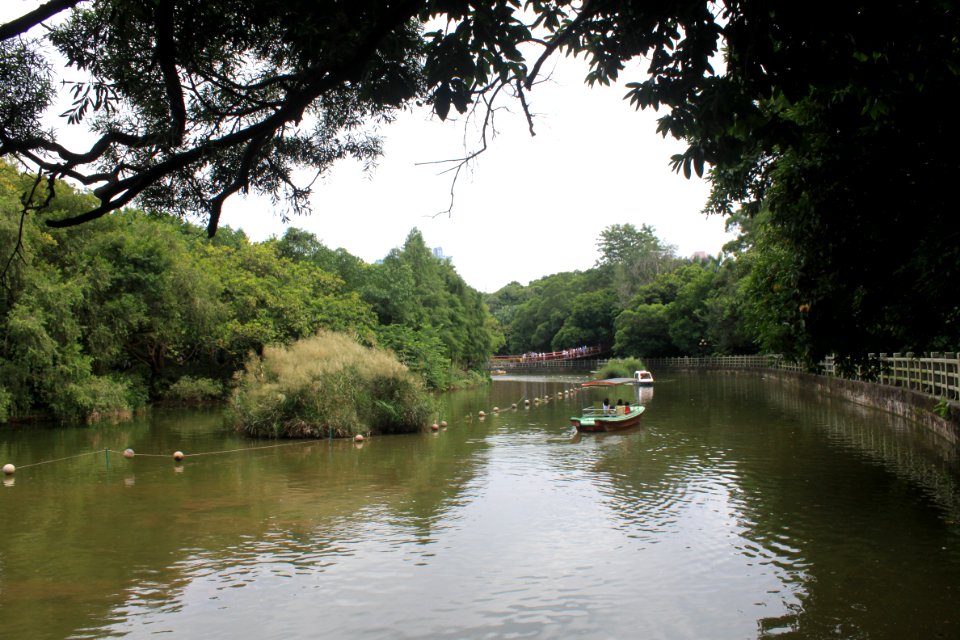 Lake of East Lake Park1
