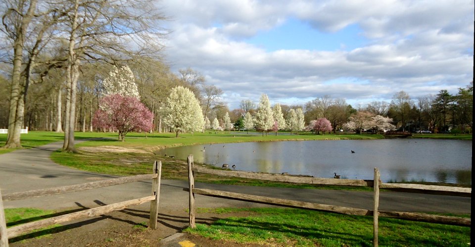 Lake near Union County College Cranford NJ