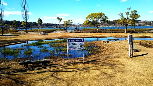 Lake Senba Phot 2019-2020 (7)