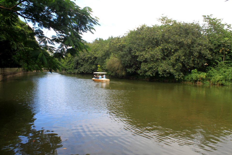 Lake of East Lake Park2
