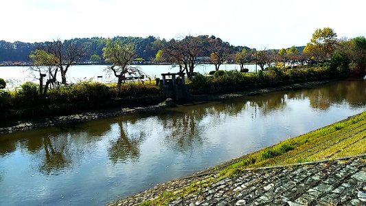Lake Senba Phot 2019-2020 (3)