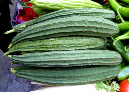 Luffa acutangula vegetable 019
