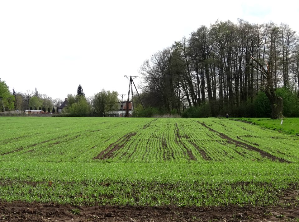Ludzisko1 4-2015