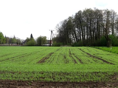 Ludzisko1 4-2015