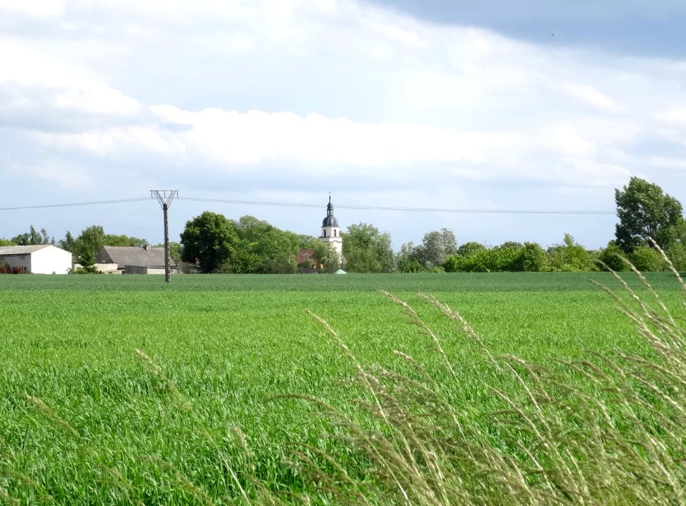 Ludzisko pola 2 5-2015