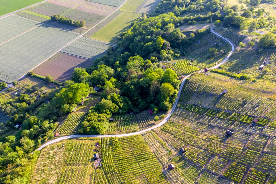 Luftbild der Wurmlinger Kapelle 11