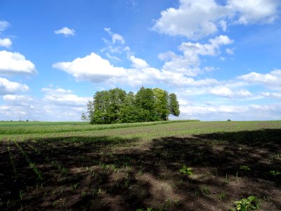 Ludzisko pola 1 5-2015