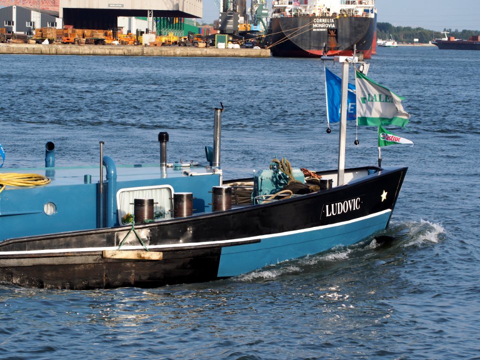 Ludovic (ship, 1965), ENI 06002958, Port of Antwerp pic5