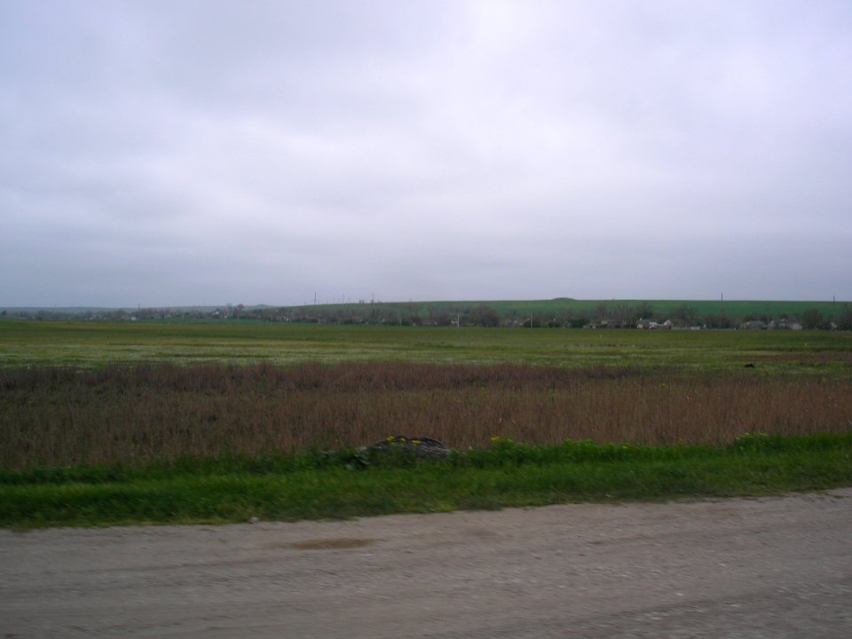 LugovoeLen 10