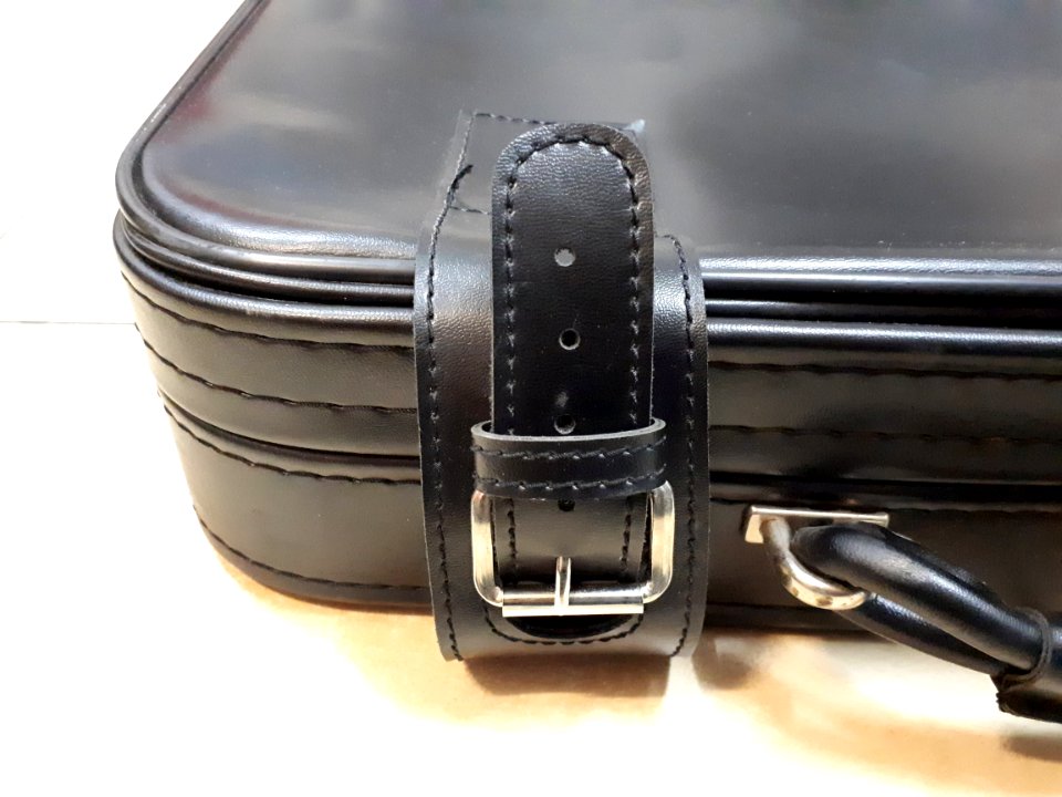 Luggage buckle strap 2017 A