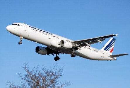 A321 airline jet photo