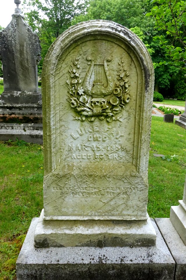 Luke Fay - Mount Auburn Cemetery - DSC04357